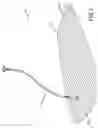 Fig. 02 - Bodyboard