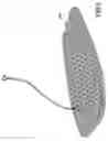Fig. 06 - Bodyboard