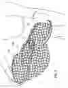 Fig. 07 - Chipping net