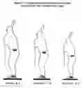 Fig. 05 - Designated hitter pitching training system (The DH)