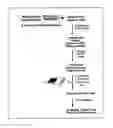 Fig. 01 - ENRICHMENT AND SEQUENCE ANALYSIS OF GENOMIC REGIONS