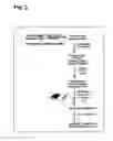 Fig. 03 - ENRICHMENT AND SEQUENCE ANALYSIS OF GENOMIC REGIONS