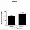 Fig. 06 - Genetic Association of Polymorphisms in the Atf6-Alpha Gene with Insulin Resistance Phenotypes