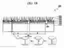 Fig. 03 - OLIGOMER PROBE ARRAY