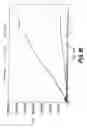 Fig. 13 - Flow-thru chip cartridge, chip holder, system & method thereof