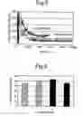 Fig. 04 - Slide member and process for producing slide member