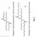 Fig. 04 - Diester-based lubricants and methods of making same