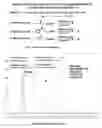 Fig. 26 - Compositions containing, methods involving, and uses of non-natural amino acids and polypeptides