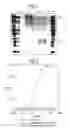 Fig. 02 - Methods of inhibiting ascites formation with modified chimeric VEGF polypeptides