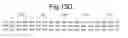 Fig. 19 - Methods of inhibiting ascites formation with modified chimeric VEGF polypeptides