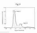 Fig. 49 - Methods of inhibiting ascites formation with modified chimeric VEGF polypeptides