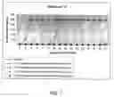 Fig. 08 - Stabilizing alkylglycoside compositions and methods thereof