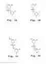 Fig. 02 - Antibacterial antisense oligonucleotide and method