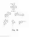 Fig. 03 - Antibacterial antisense oligonucleotide and method