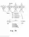 Fig. 05 - Antibacterial antisense oligonucleotide and method