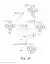Fig. 06 - Antibacterial antisense oligonucleotide and method