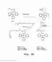 Fig. 07 - Antibacterial antisense oligonucleotide and method