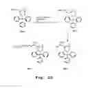 Fig. 09 - Antibacterial antisense oligonucleotide and method