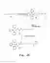 Fig. 10 - Antibacterial antisense oligonucleotide and method