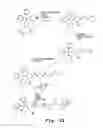 Fig. 11 - Antibacterial antisense oligonucleotide and method