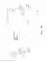 Fig. 16 - Antibacterial antisense oligonucleotide and method