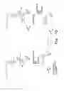 Fig. 19 - Antibacterial antisense oligonucleotide and method