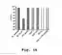 Fig. 34 - Antibacterial antisense oligonucleotide and method