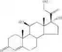 Fig. 33 - Transporter-enhanced corticosteroid activity and methods and compositions for treating dry eye