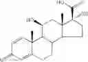 Fig. 40 - Transporter-enhanced corticosteroid activity and methods and compositions for treating dry eye