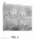 Fig. 03 - Use of Fgf-18 Protein, Target Proteins and Their Respective Encoding Nucleotide Sequences to Induce Cartilage Formation