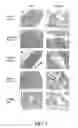 Fig. 06 - Use of Fgf-18 Protein, Target Proteins and Their Respective Encoding Nucleotide Sequences to Induce Cartilage Formation