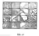 Fig. 14 - Use of Fgf-18 Protein, Target Proteins and Their Respective Encoding Nucleotide Sequences to Induce Cartilage Formation