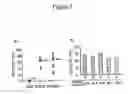 Fig. 03 - Methods for the Treatment of Autoimmune Diseases
