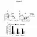 Fig. 04 - Methods for the Treatment of Autoimmune Diseases