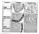 Fig. 01 - Methods and compositions to treat mucositis