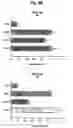 Fig. 09 - Detection and Use of Prolylcarboxypeptidase