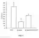 Fig. 07 - Orally active peptides that prevent cell damage and death