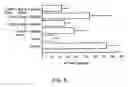 Fig. 08 - Orally active peptides that prevent cell damage and death