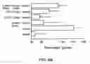Fig. 10 - Orally active peptides that prevent cell damage and death