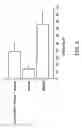 Fig. 13 - Orally active peptides that prevent cell damage and death