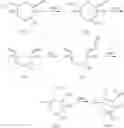 Fig. 20 - Oligosaccharide derivative