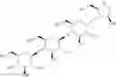 Fig. 41 - Oligosaccharide derivative