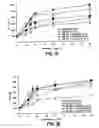 Fig. 02 - Antisense modulation of p38 mitogen activated protein kinase expression