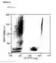 Fig. 06 - Cell counting