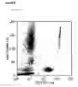Fig. 07 - Cell counting