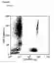 Fig. 08 - Cell counting