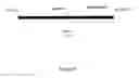 Fig. 09 - CODON OPTIMIZED SYNTHETIC PLASMIDS