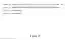 Fig. 20 - CODON OPTIMIZED SYNTHETIC PLASMIDS