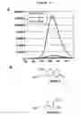 Fig. 05 - Development of Fluorogenic Substrates For Monoamine Oxidases (Mao-A and Mao-B)