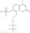 Fig. 168 - Development of Fluorogenic Substrates For Monoamine Oxidases (Mao-A and Mao-B)
